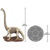 image:imageDesign Toscano Bad to the Bone Jurassic TRex Skeleton Dinosaur Statue 21 Inch Resin Full Color FinishBrachiosaurus