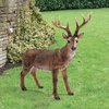 image:imageDesign Toscano Big Rack Deer Buck IndoorOutdoor Garden Decoy Animal Statue 28 Inch Long 24 Inch Tall Cast Stone Resin Brown Finish