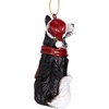 image:imageDesign Toscano Black Labrador Retriever Holiday Dog Christmas Tree OrnamentBorder Collie