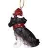 image:imageDesign Toscano Black Labrador Retriever Holiday Dog Christmas Tree OrnamentCharles Cavalier