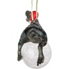 image:imageDesign Toscano Blitzer the T Rex Dinosaur Christmas Tree Ornament 5 InchBlitzer