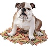 image:imageDesign Toscano Buster the Bulldog Sculpture 16 Inch16 Inch
