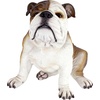 image:imageDesign Toscano Buster the Bulldog Sculpture 16 Inch16 Inch