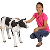 image:imageDesign Toscano Buttercup The Life Size Holstein Calf Dairy Cow StatueButtercup  the Holstein Calf