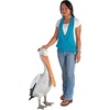 image:imageDesign Toscano Coastal Decor Oceans Perch Pelicans Garden Bird Statue 9 Inch Wide 24 Inch Tall Cast Stone Resin Full Color FinishGiant White