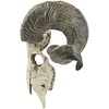 image:imageDesign Toscano Corsican Ram Skull and Horns Wall Sculpture Faux Taxidermy Animal Trophy 19 Inch Cast Stone Resin Painted Bone Finish