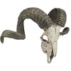 image:imageDesign Toscano Corsican Ram Skull and Horns Wall Sculpture Faux Taxidermy Animal Trophy 19 Inch Cast Stone Resin Painted Bone Finish