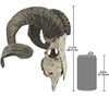 image:imageDesign Toscano Corsican Ram Skull and Horns Wall Sculpture Faux Taxidermy Animal Trophy 19 Inch Cast Stone Resin Painted Bone Finish