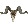 image:imageDesign Toscano Corsican Ram Skull and Horns Wall Sculpture Faux Taxidermy Animal Trophy 19 Inch Cast Stone Resin Painted Bone Finish
