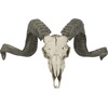 image:imageDesign Toscano Corsican Ram Skull and Horns Wall Sculpture Faux Taxidermy Animal Trophy 19 Inch Cast Stone Resin Painted Bone Finish