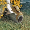 image:imageDesign Toscano Crash THE Squirrel RAIN GutterCrash the Squirrel