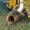image:imageDesign Toscano Crash THE Squirrel RAIN GutterDrips the Turtle