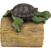image:imageDesign Toscano Crash THE Squirrel RAIN GutterDrips the Turtle
