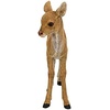 image:imageDesign Toscano Darby the Forest Fawn Baby Deer StatueForaging Baby Deer