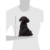 image:imageDesign Toscano EU1071 Winston the British Bulldog Dog Garden Statue 11 Inch Polyresin Full ColorBlack Poodle