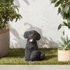 image:imageDesign Toscano EU1071 Winston the British Bulldog Dog Garden Statue 11 Inch Polyresin Full ColorBlack Poodle
