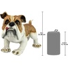 image:imageDesign Toscano EU1071 Winston the British Bulldog Dog Garden Statue 11 Inch Polyresin Full ColorWinston The British Bulldog