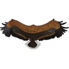 image:imageDesign Toscano Freedoms Pride Eagle Plaque LargeFreedoms Pride American Bald Eagle