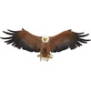 image:imageDesign Toscano Freedoms Pride Eagle Plaque LargeFreedoms Pride American Bald Eagle