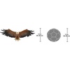 image:imageDesign Toscano Freedoms Pride Eagle Plaque LargeFreedoms Pride American Bald Eagle
