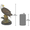 image:imageDesign Toscano Freedoms Pride Eagle Plaque LargeNoble Strength Bald Eagle