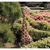 image:imageDesign Toscano Gigi the Garden Giraffe Statue