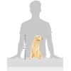 image:imageDesign Toscano Golden Labrador Retriever Dog StatueGolden Retriever