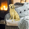 image:imageDesign Toscano Golden Labrador Retriever Dog StatueGolden Retriever