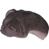 image:imageDesign Toscano JQ6627 Scaled Jurassic Pterodactyl Dinosaur Statuefull colorAllosaurus Dinosaur Mouth Closed
