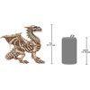 image:imageDesign Toscano JQ6627 Scaled Jurassic Pterodactyl Dinosaur Statuefull colorGothic Dragon Skeleton