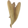 image:imageDesign Toscano JQ6627 Scaled Jurassic Pterodactyl Dinosaur Statuefull colorHopping Gargoyle