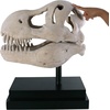 image:imageDesign Toscano JQ6627 Scaled Jurassic Pterodactyl Dinosaur Statuefull colorTRex Dinosaur Skull