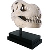 image:imageDesign Toscano JQ6627 Scaled Jurassic Pterodactyl Dinosaur Statuefull colorTRex Dinosaur Skull