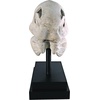 image:imageDesign Toscano JQ6627 Scaled Jurassic Pterodactyl Dinosaur Statuefull colorTRex Dinosaur Skull