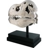 image:imageDesign Toscano JQ6627 Scaled Jurassic Pterodactyl Dinosaur Statuefull colorTRex Dinosaur Skull