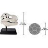 image:imageDesign Toscano JQ6627 Scaled Jurassic Pterodactyl Dinosaur Statuefull colorTRex Dinosaur Skull