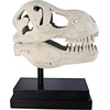 image:imageDesign Toscano JQ6627 Scaled Jurassic Pterodactyl Dinosaur Statuefull colorTRex Dinosaur Skull