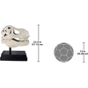 image:imageDesign Toscano JQ6627 Scaled Jurassic Pterodactyl Dinosaur Statuefull colorTRex Dinosaur Skull
