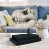 image:imageDesign Toscano JQ6627 Scaled Jurassic Pterodactyl Dinosaur Statuefull colorTRex Dinosaur Skull