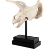 image:imageDesign Toscano JQ6627 Scaled Jurassic Pterodactyl Dinosaur Statuefull colorTriceratops Dinosaur Skull