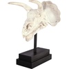image:imageDesign Toscano JQ6627 Scaled Jurassic Pterodactyl Dinosaur Statuefull colorTriceratops Dinosaur Skull