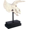 image:imageDesign Toscano JQ6627 Scaled Jurassic Pterodactyl Dinosaur Statuefull colorTriceratops Dinosaur Skull