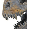 image:imageDesign Toscano JQ9551 T Rex Dinosaur Skeleton Bathroom Decor Accessories Toilet Paper Holder 8 Inches High Handcast Polyresin Green Bronze Metallic Finish