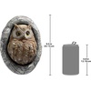 image:imageDesign Toscano Knothole Owl Tree Sculpture