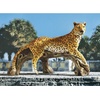 image:imageDesign Toscano Prowling American Mountain Cougar IndoorOutdoor Garden Statue 22 Inches Wide 5 Inches Deep 8 Inches High Handcast Polyresin Full Color FinishLeopards Kingdom