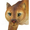 image:imageDesign Toscano Prowling American Mountain Cougar IndoorOutdoor Garden Statue 22 Inches Wide 5 Inches Deep 8 Inches High Handcast Polyresin Full Color FinishAmerican Mountain Cougar