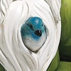 image:imageDesign Toscano QM13096 Zen Yoga Frog Statue 12 Inch Full ColorGnome Statue