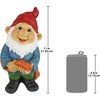 image:imageDesign Toscano QM16035 Garden Gnome Statue  Pool Party Pete Naked Gnome  Outdoor Garden Gnomes  Funny Lawn Gnome Statuesfull colorHose It Off
