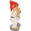 image:imageDesign Toscano QM16035 Garden Gnome Statue  Pool Party Pete Naked Gnome  Outdoor Garden Gnomes  Funny Lawn Gnome Statuesfull colorKarate Kobi