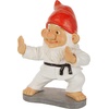 image:imageDesign Toscano QM16035 Garden Gnome Statue  Pool Party Pete Naked Gnome  Outdoor Garden Gnomes  Funny Lawn Gnome Statuesfull colorKarate Kobi